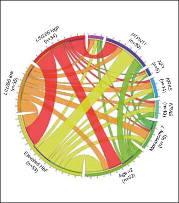 Unravelling the biology of juvenile myelomonocytic leukaemia using ...