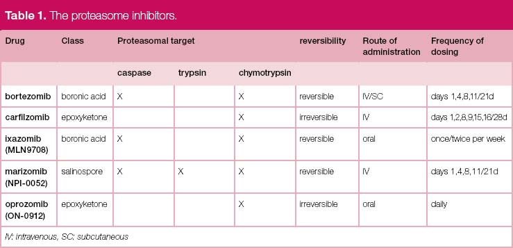 New drugs in multiple myeloma - BJH