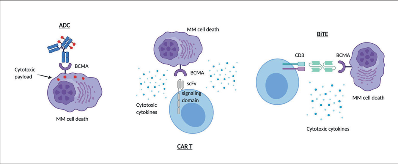 BCMA Targeting In Multiple Myeloma - BJH