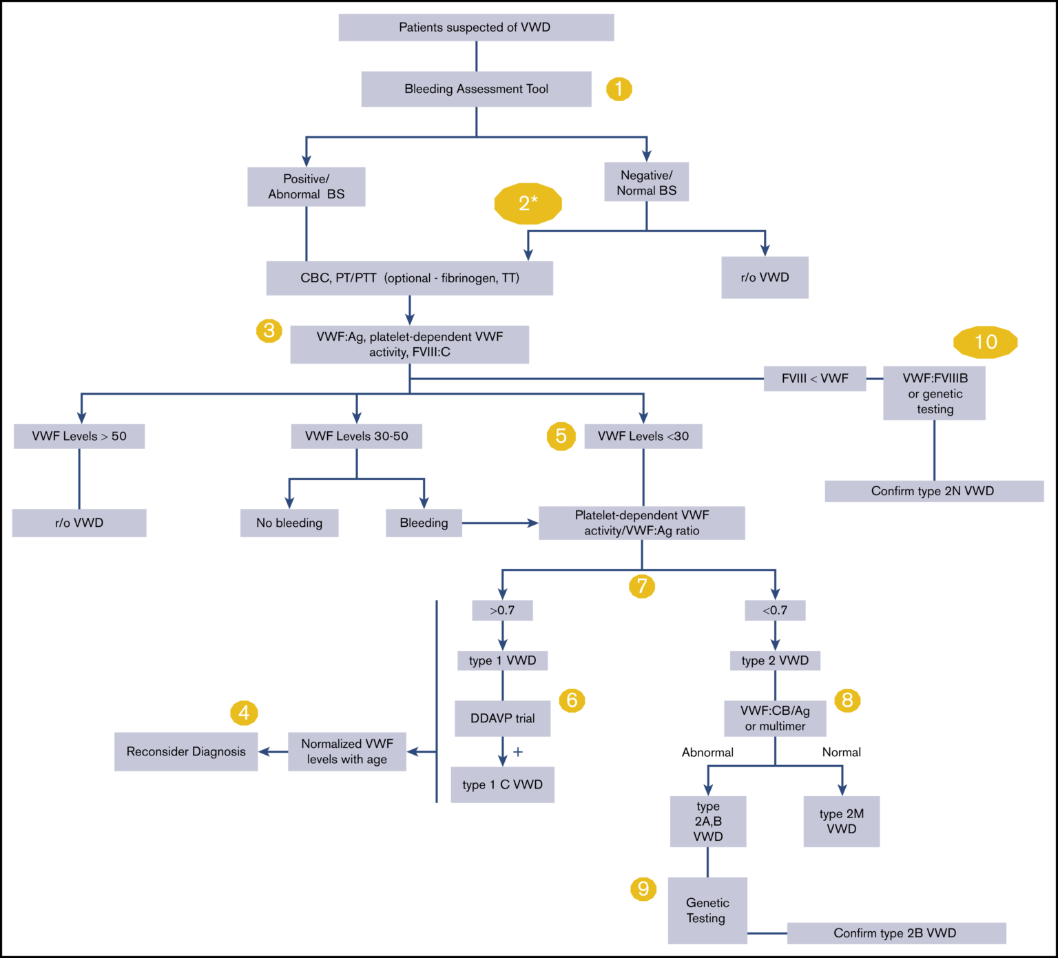 Updated guidelines for the diagnosis of Von Willebrand disease - BJH