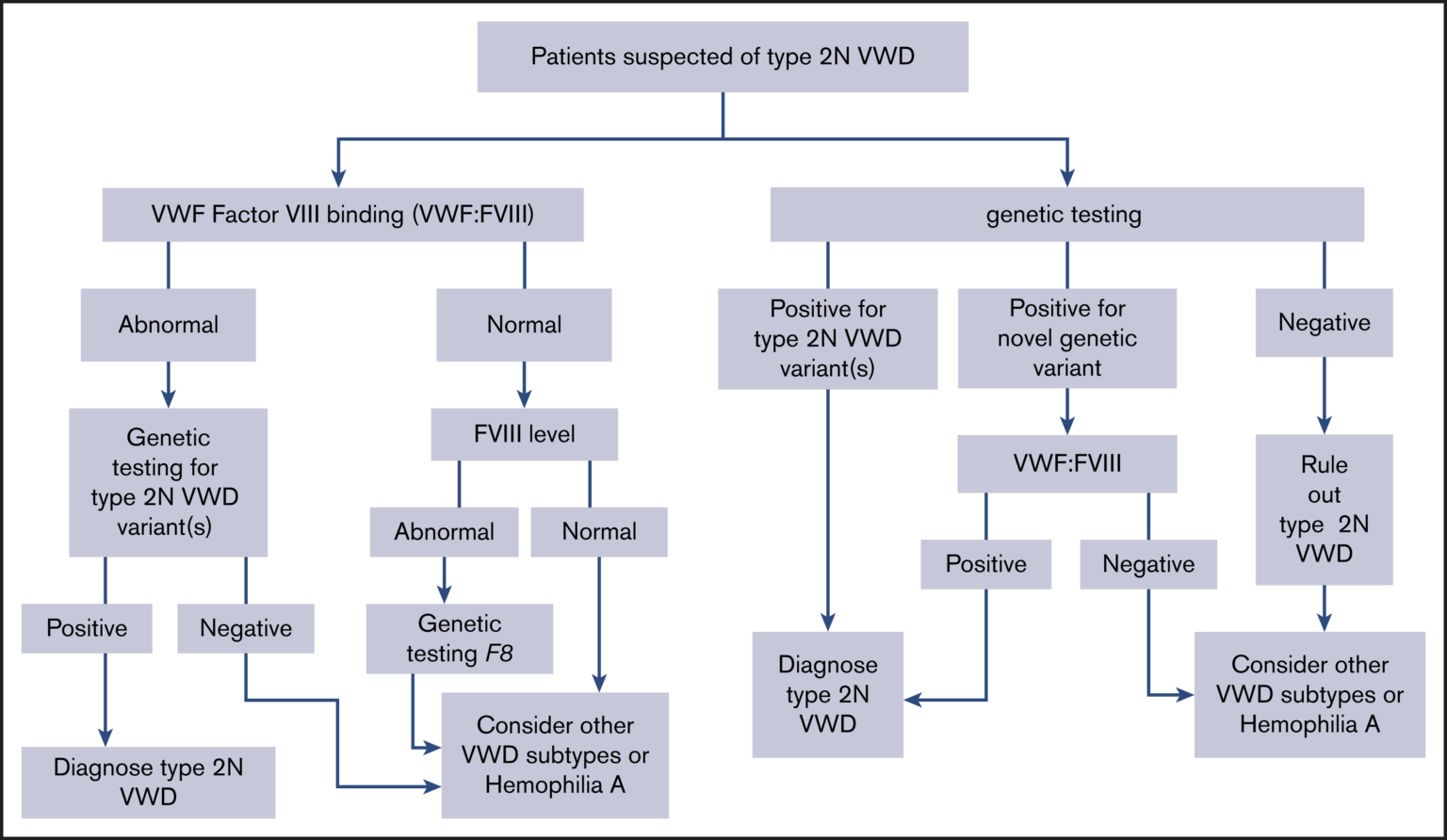 Updated guidelines for the diagnosis of Von Willebrand disease - BJH